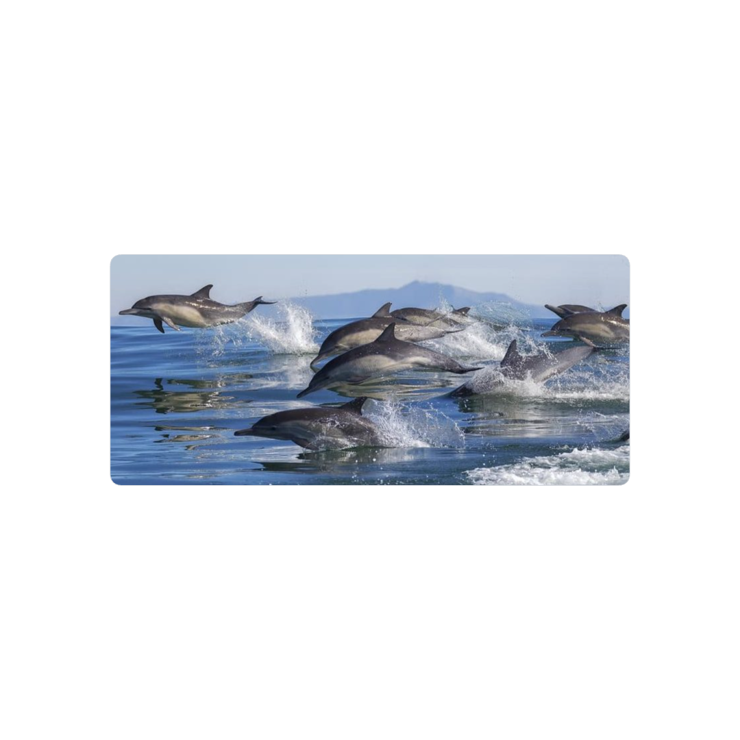 Delfines