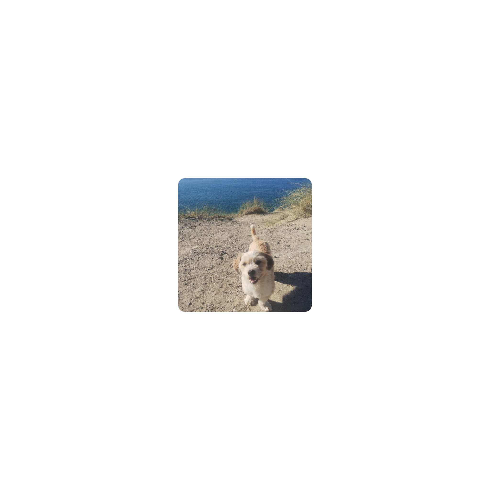 Firu