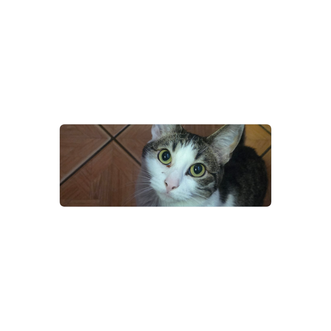 Gatita