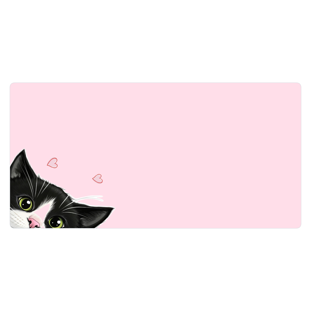 Gatito gordo