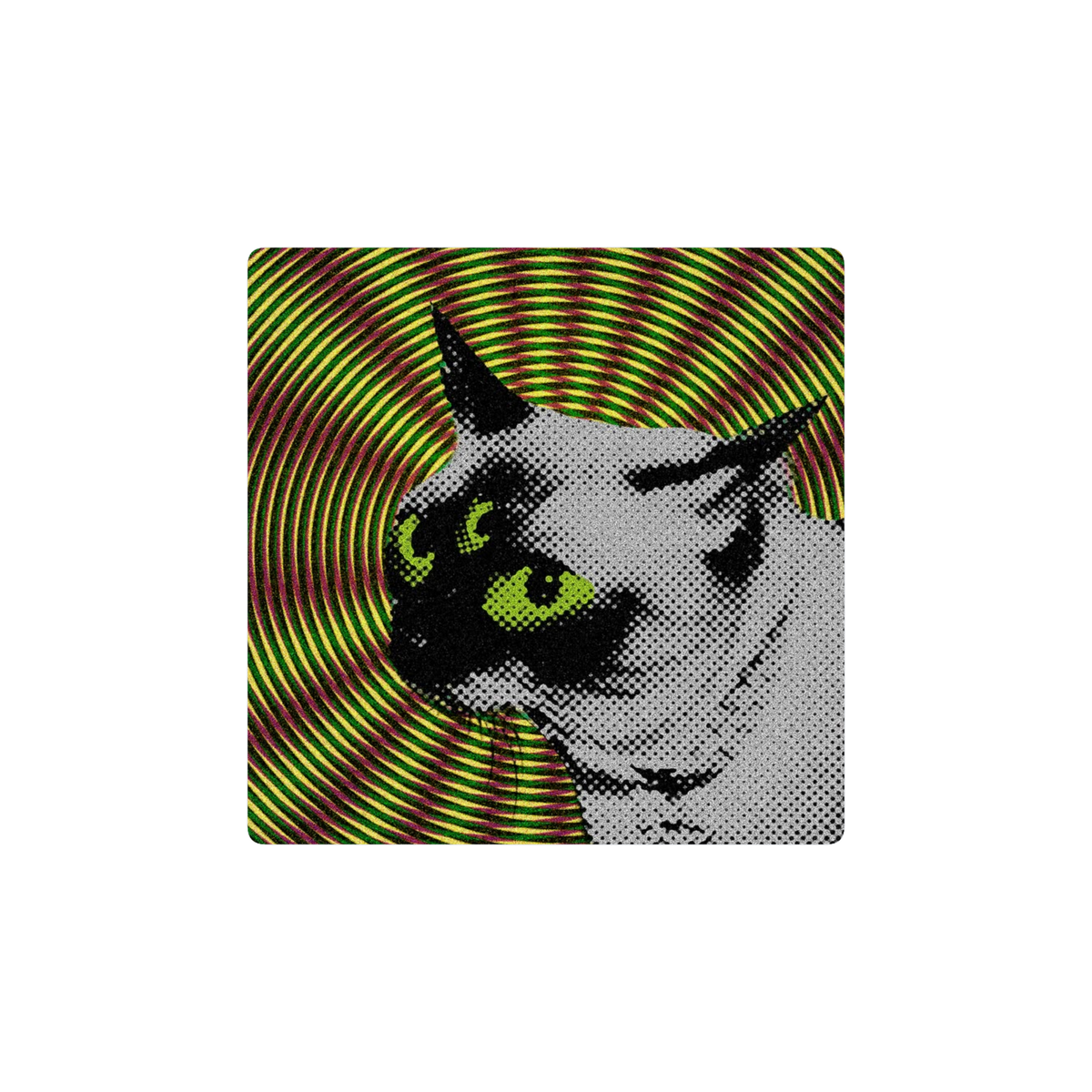 GATO FALOPA
