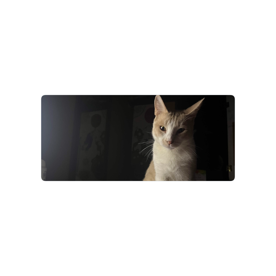 Gato pikachu asesino67