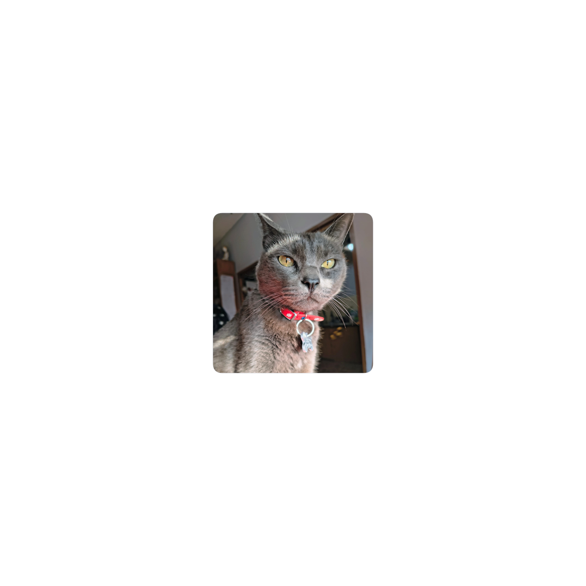 Hipo