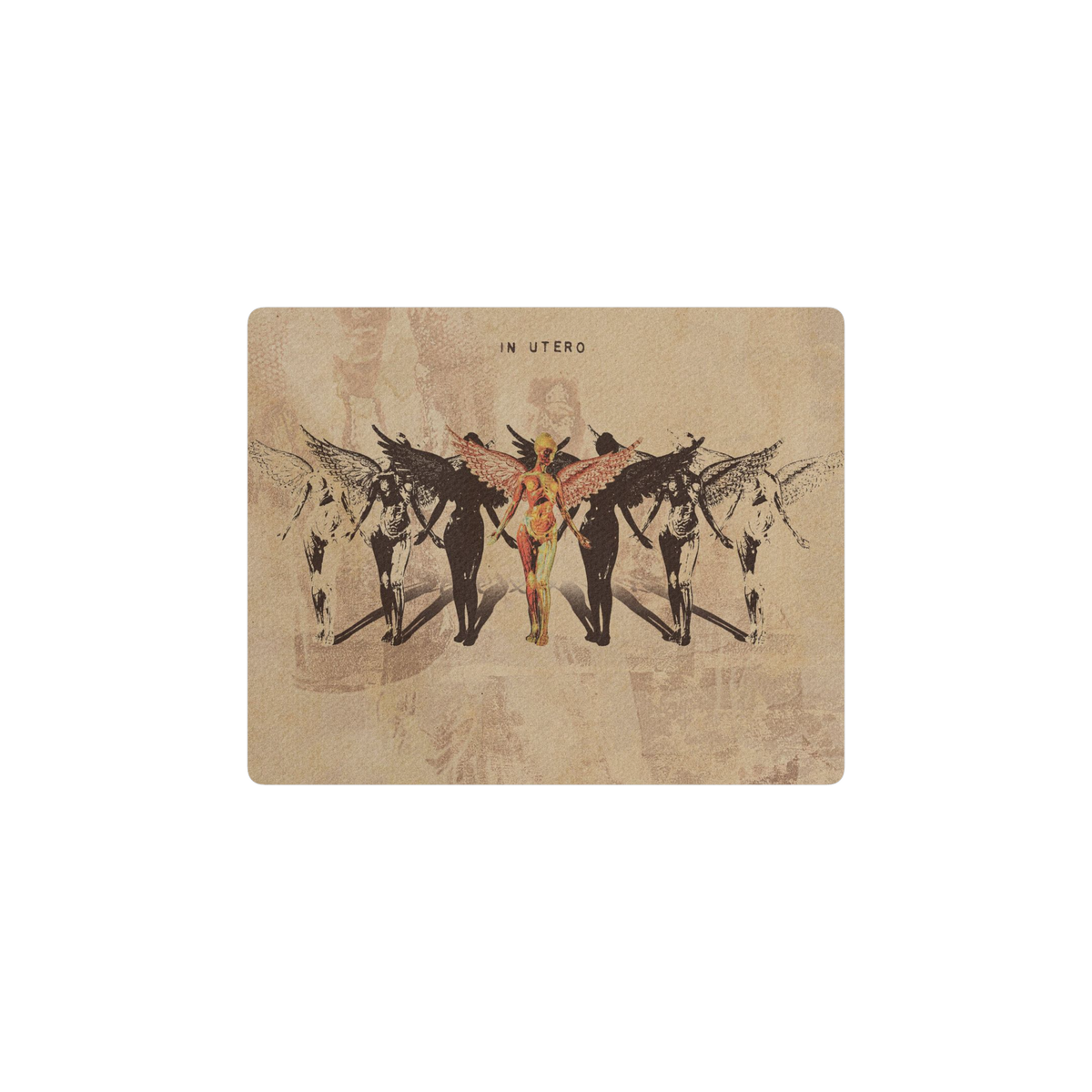 In Utero