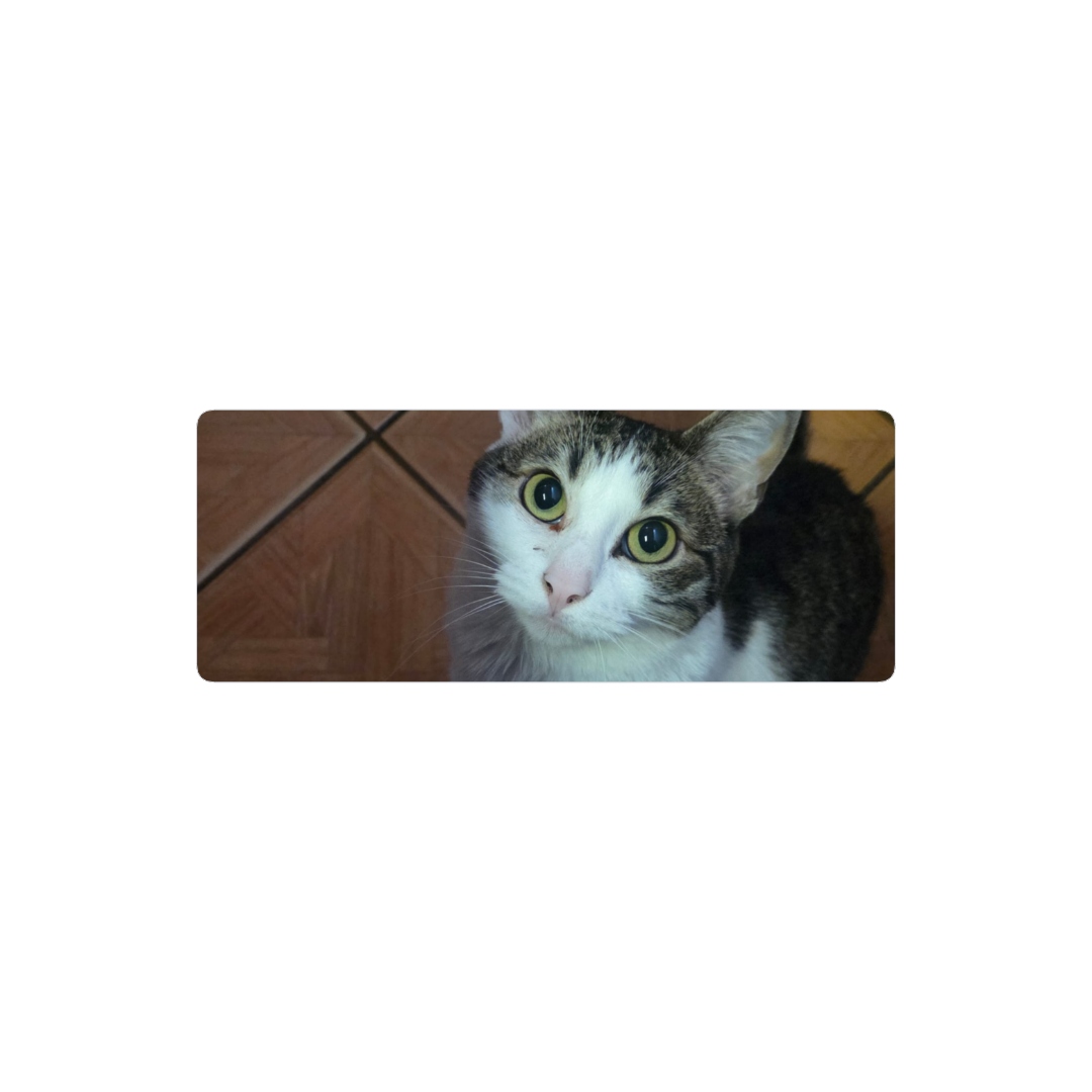 Lucebelle