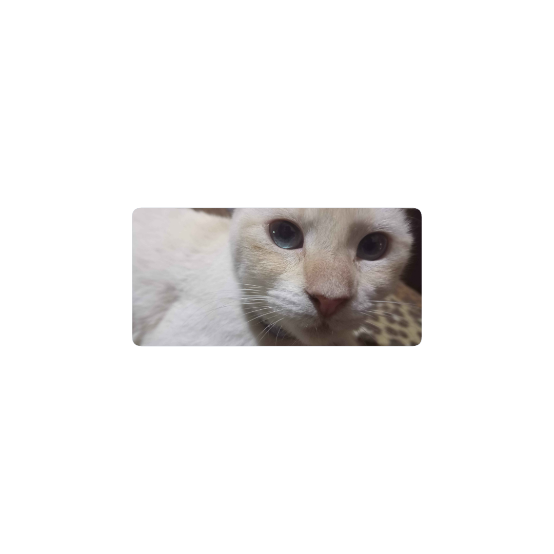 Lunita