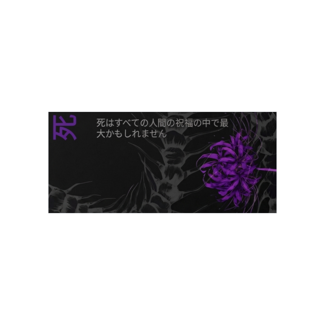 Lycoris Morada