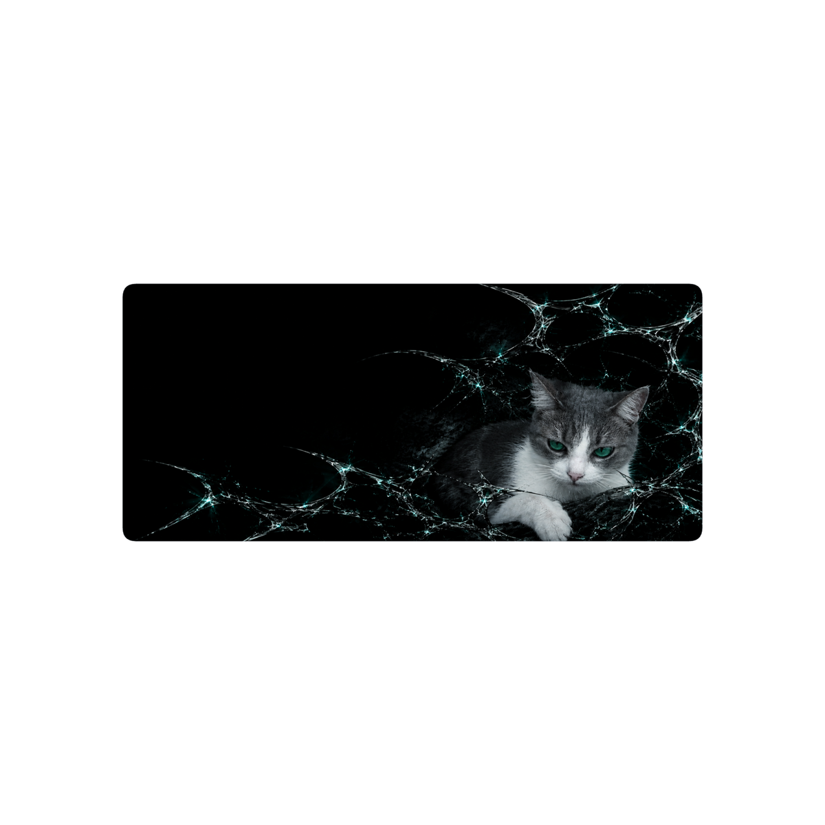 mí gatita