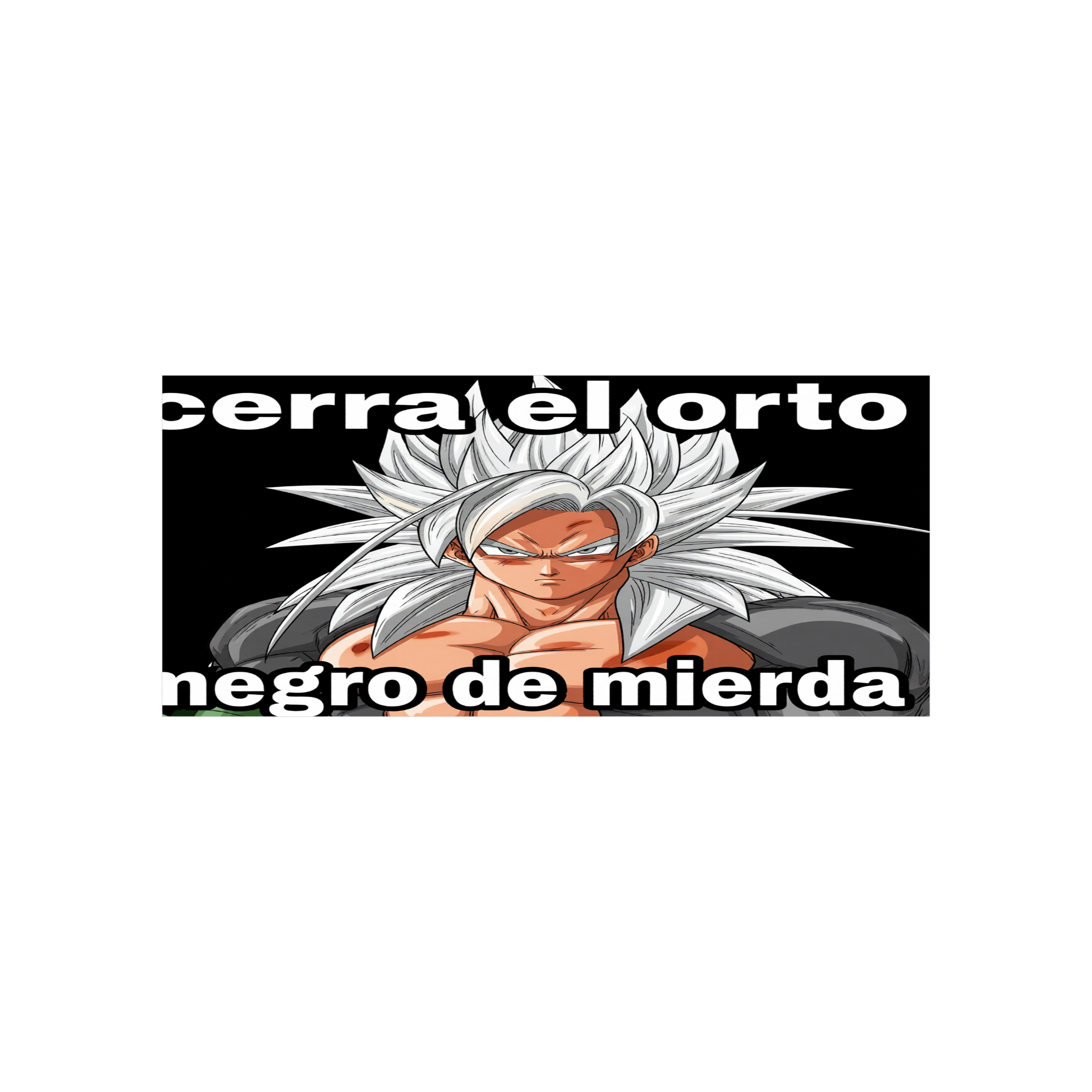 No soy racista lo juro por dieguito mara