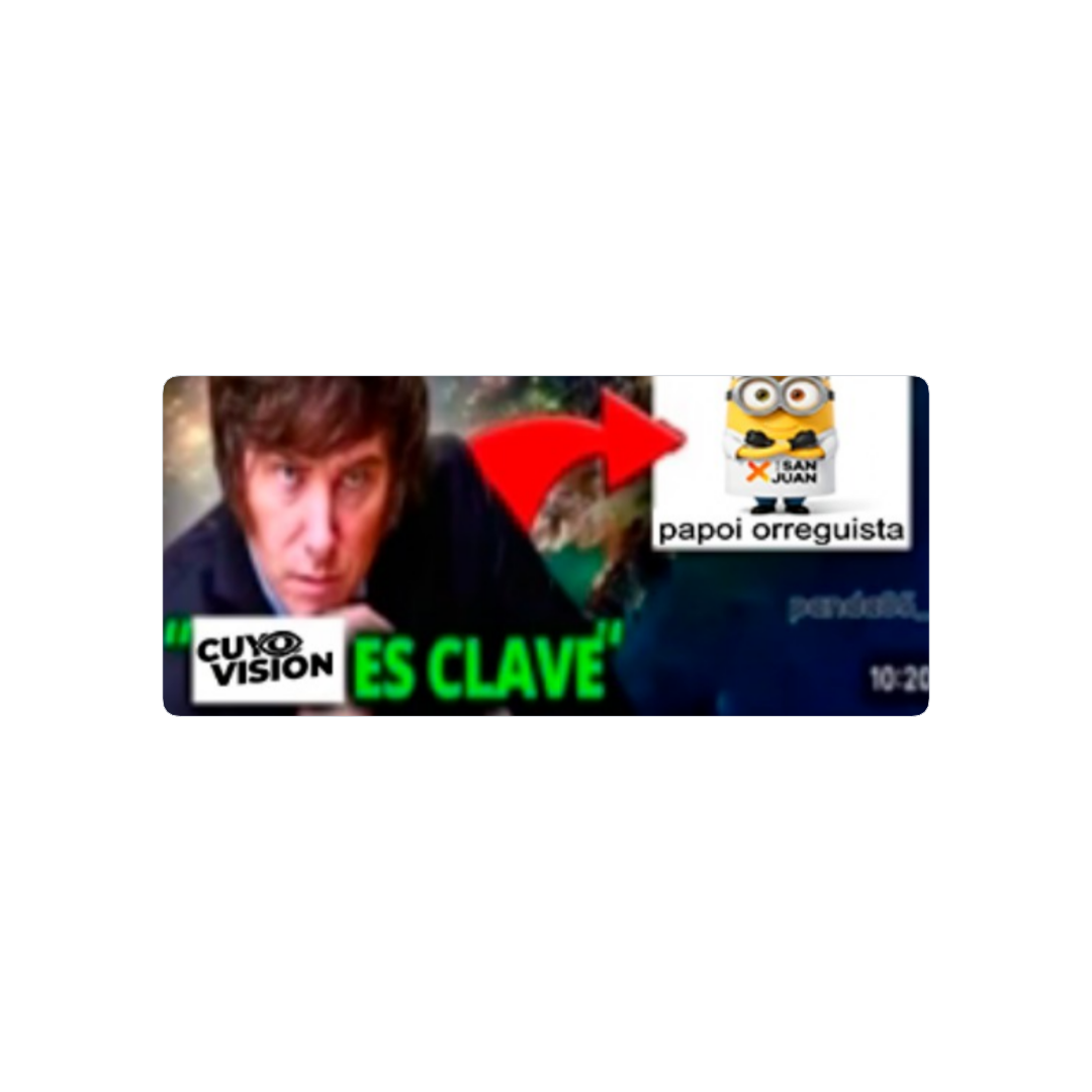 Pautavision
