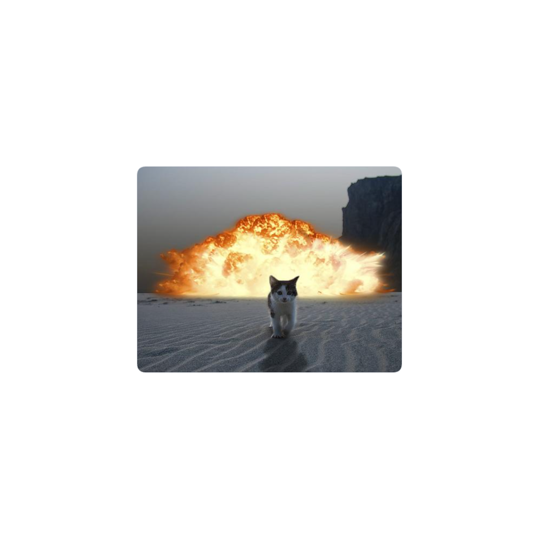 Gato Explosión