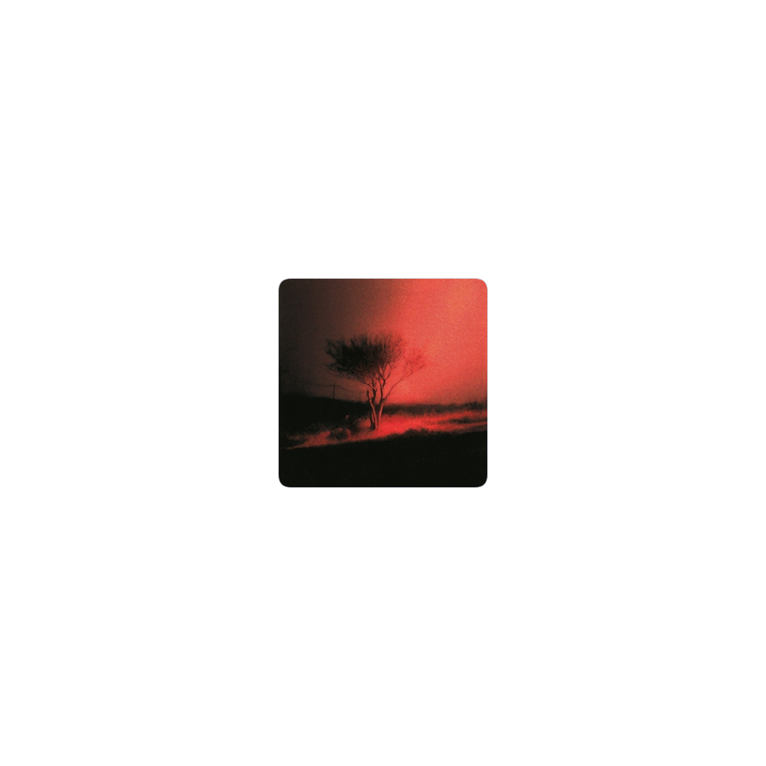 joji