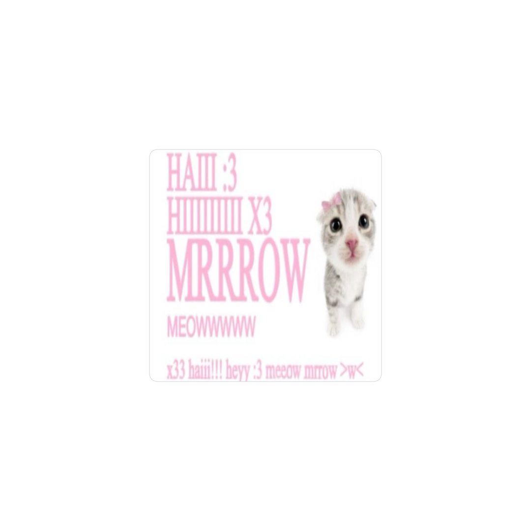 "haiii :3" kitten