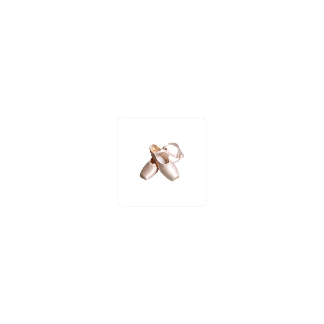 ballet shoes
