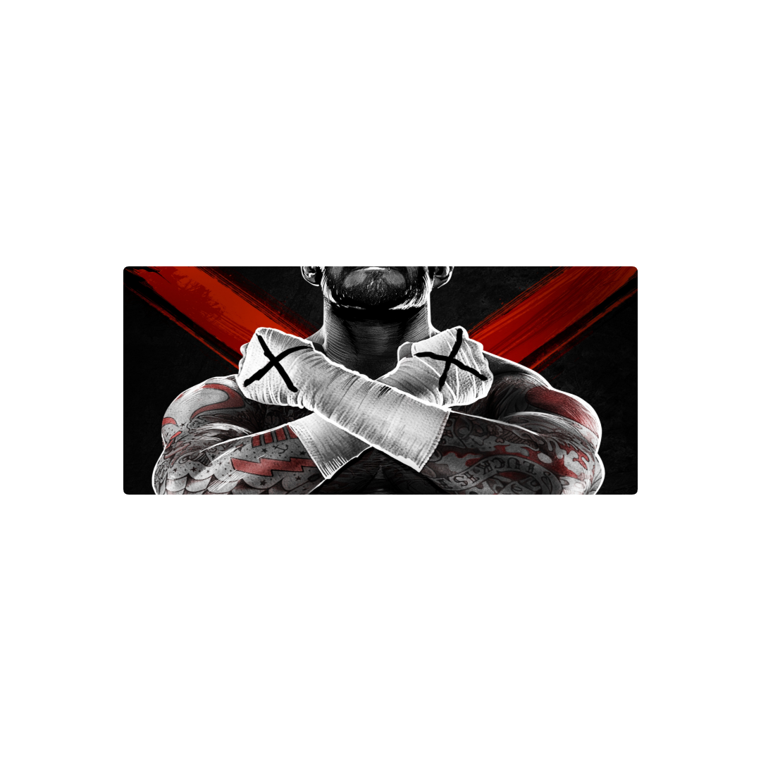 WWE CM PUNK