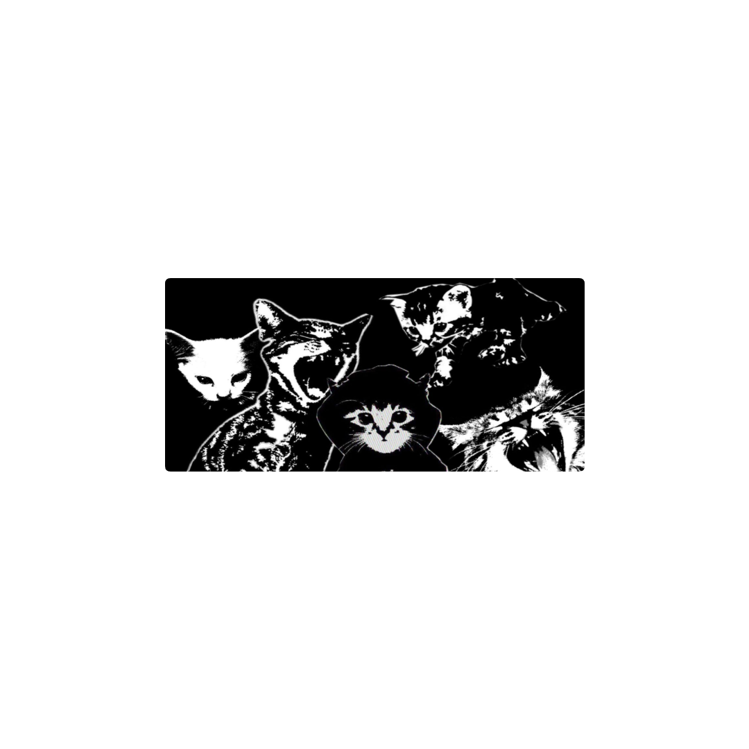 Gatos robados