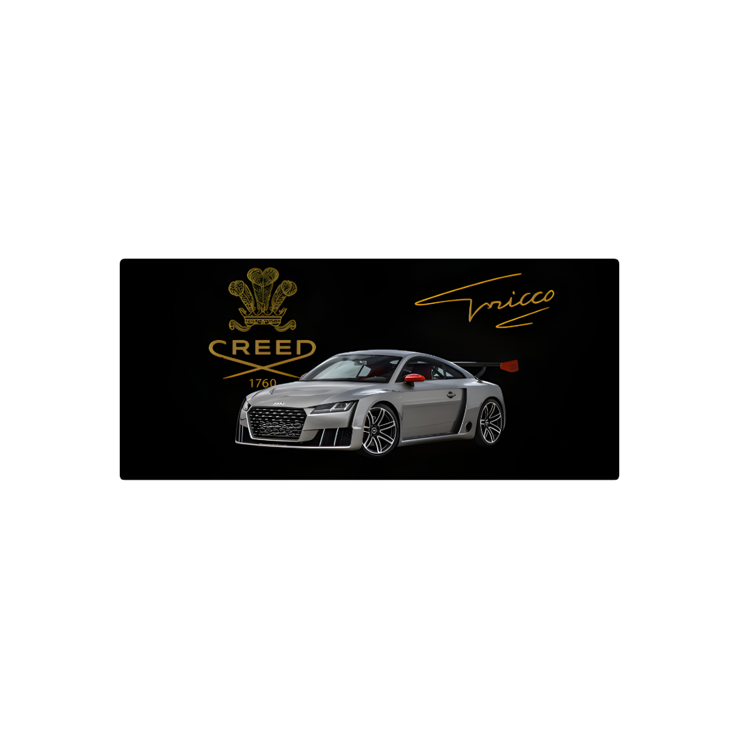 personalizado audi tt