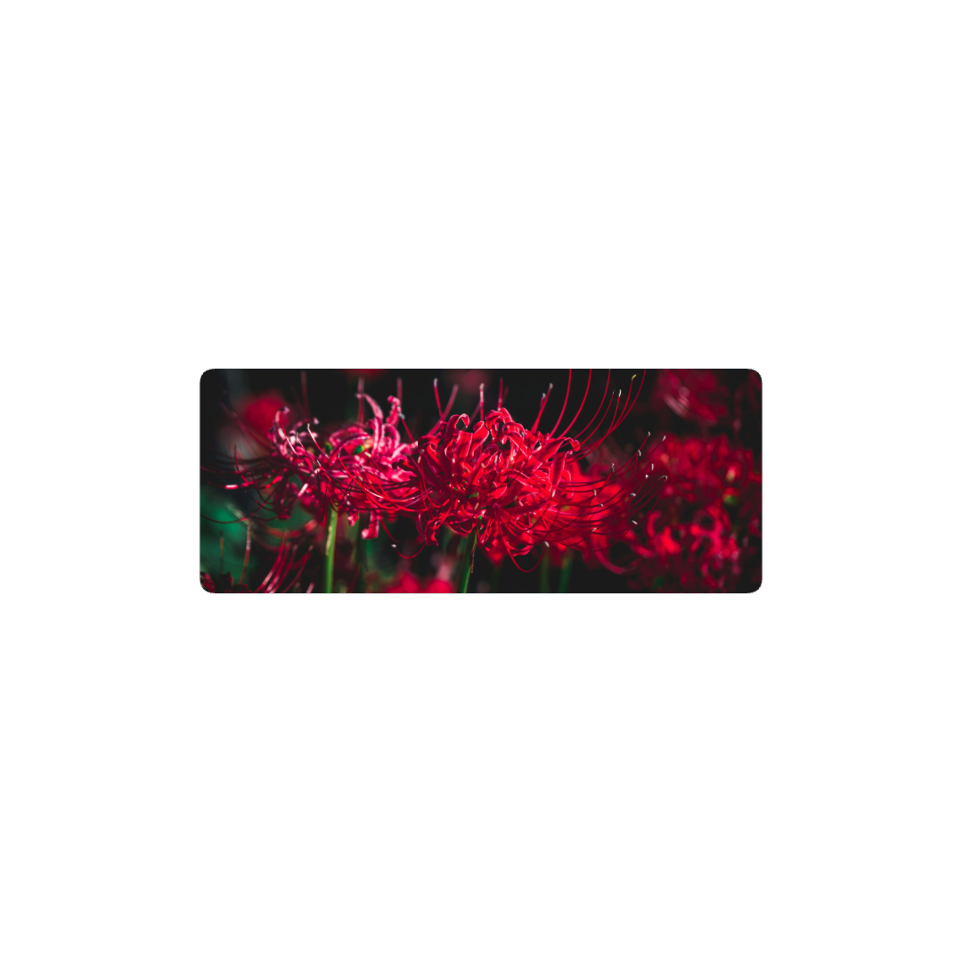 Radiata