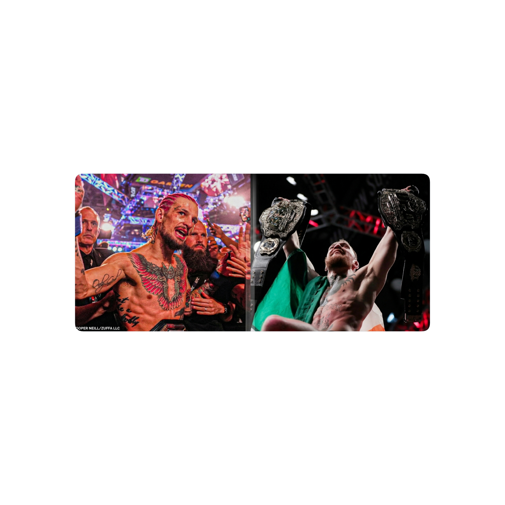 ufc p