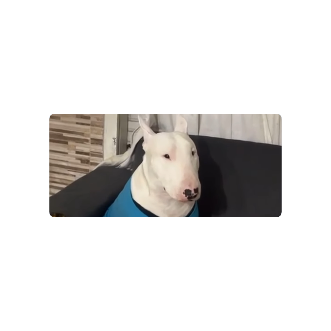 Walter
